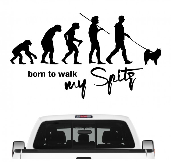 Spitz Spitze deutsche Zwergspitz Evolution Born to Walk Hunde Aufkleber Sticker Autoaufkleber Wandtattoo Tattoo