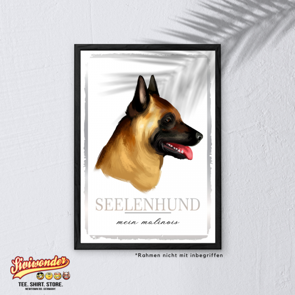 SeeleW_Malinois3
