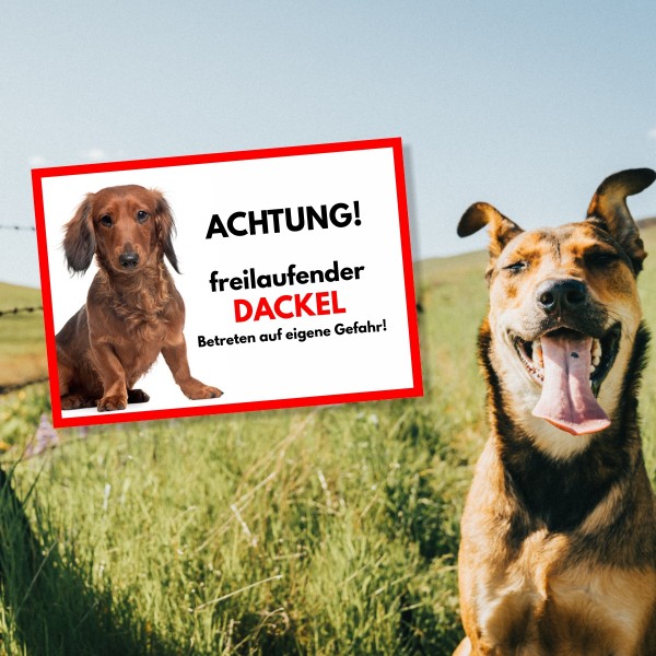 SchildFrei_DackelLang1
