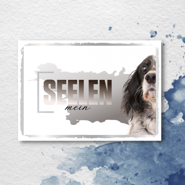 SeeleD_EnglishSetter2