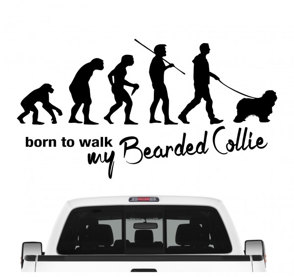Bearded Collie Beardie Argle Bargle Highland Collie Evolution Born to Walk Hunde Aufkleber Sticker Autoaufkleber Wandtattoo Tattoo
