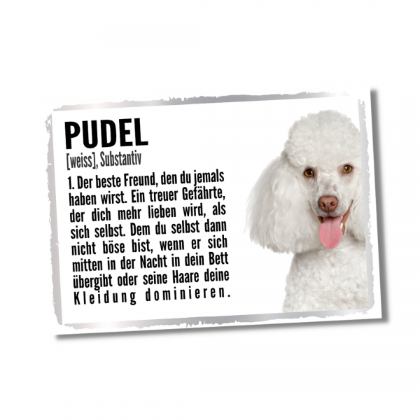 Duden_PudelW1