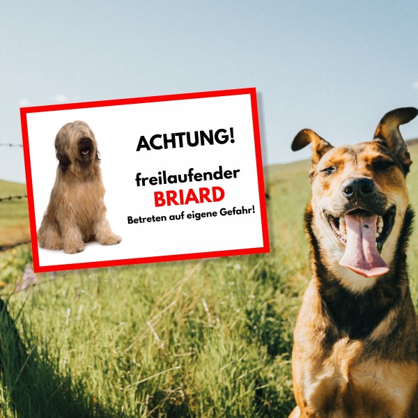 SchildFrei_Briard1