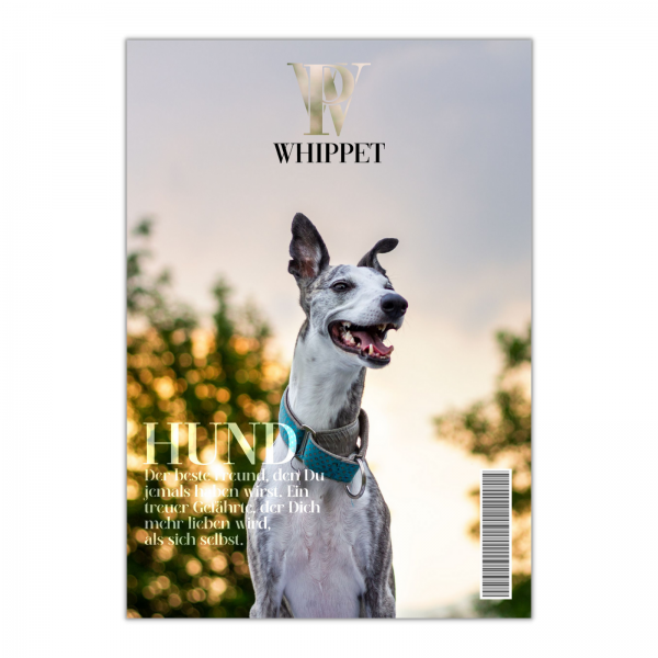 SchildMagazin_Whippet1626255c28837d