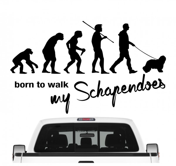 Schapendoes Schapen Hütehund Nederlandse Holland Evolution Born to Walk Hunde Aufkleber Sticker Autoaufkleber Wandtattoo Tattoo