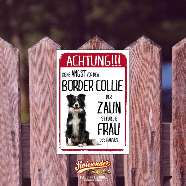 SchildZaun_BorderCollie1