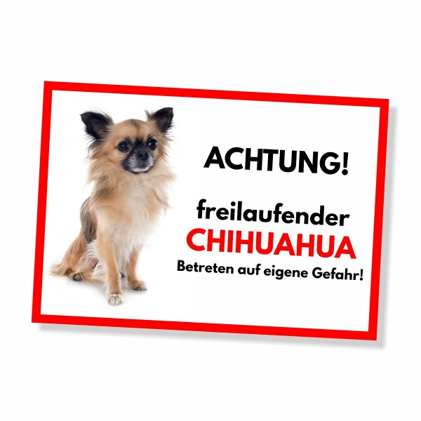 SchildFrei_ChihuahuaLang