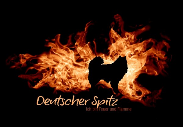 UTFlamme_DeutSpitzMo