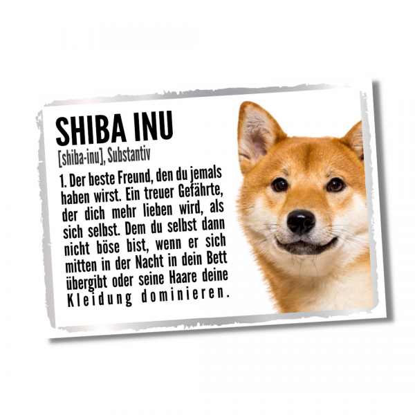 Duden_ShibaInu1