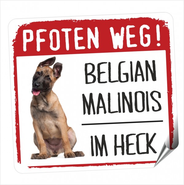 A_MALINOIS_PFOTEN_WEG