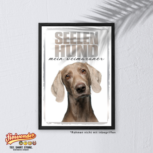 SeeleR_Weimaraner3