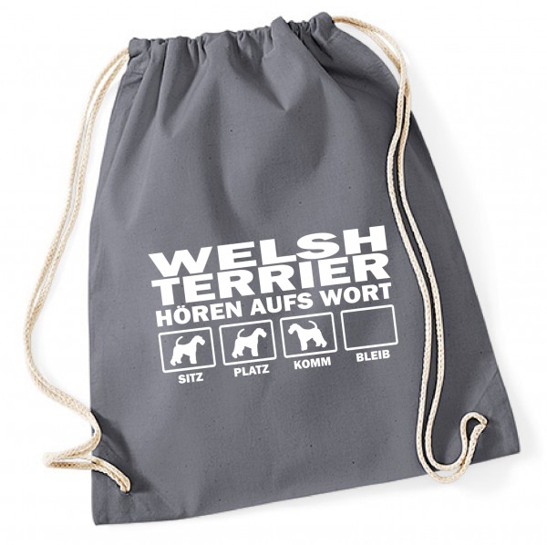 BAGHAWWelshTerrierDG