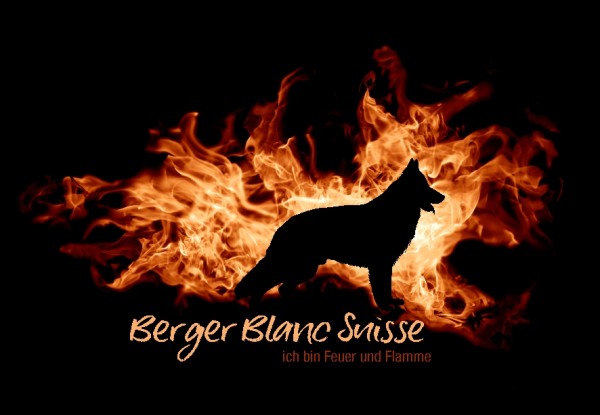 UTFlamme_BergBlancSuisMo