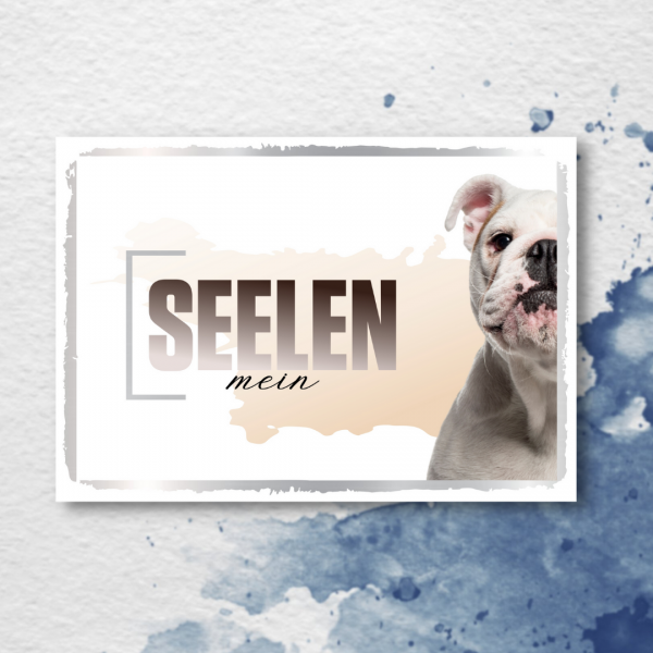 SeeleD_EnglishBulldog2