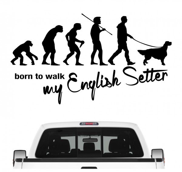 English Setter Lawerack Laverack Llewellin Evolution Born to Walk Hunde Aufkleber Sticker Autoaufkleber Wandtattoo Tattoo