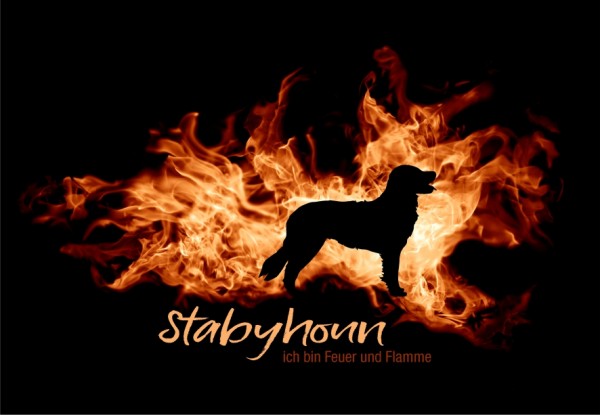 UTFlamme_StabyhounMo