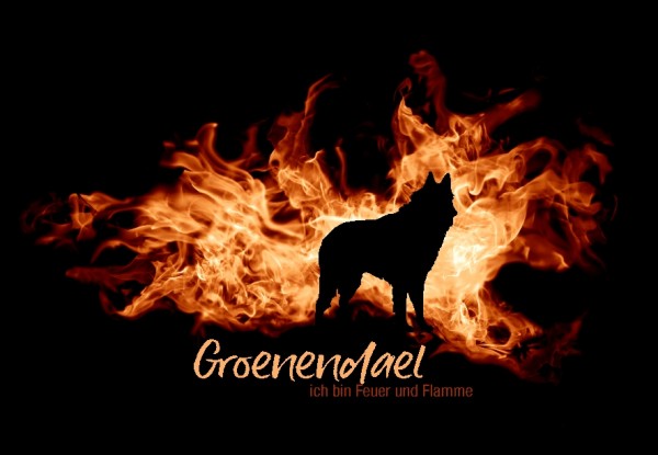 UTFlamme_GroenendaelMo