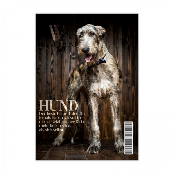 SchildMagazin_IrishWolf1