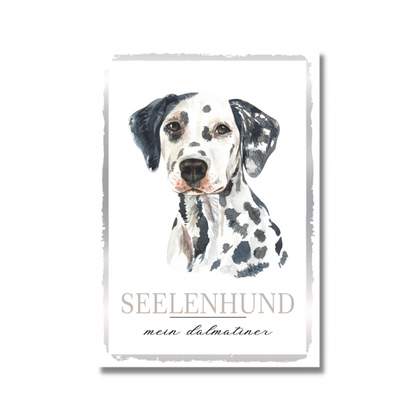 SeeleW_Dalmatiner1