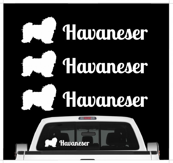 Havaneser Havanese Kuba Bichon Havana Bichon Habanero Dog 3er Set AUTOAUFKLEBER Aufkleber Hunde Hundemotiv by SIVIWONDER