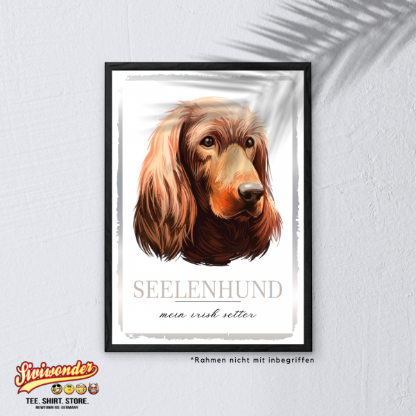 SeeleW_IrishSetter3