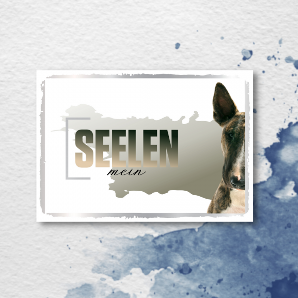 SeeleD_Bullterrier2