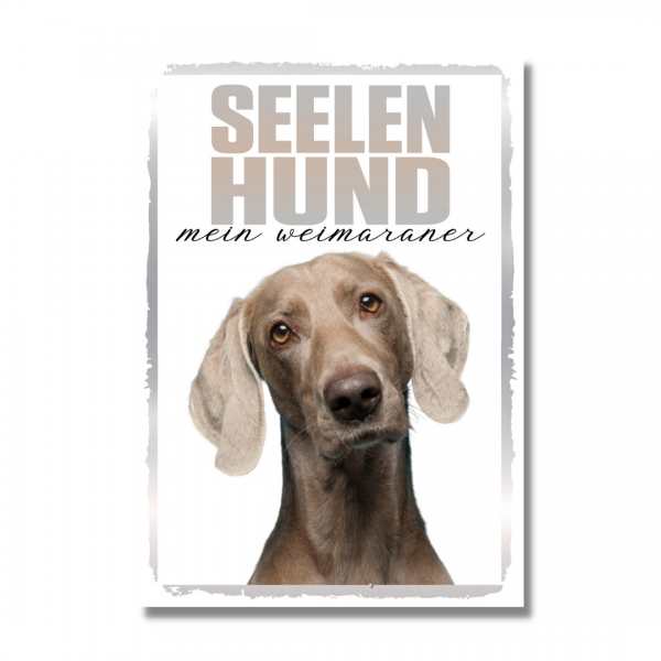 SeeleR_Weimaraner1