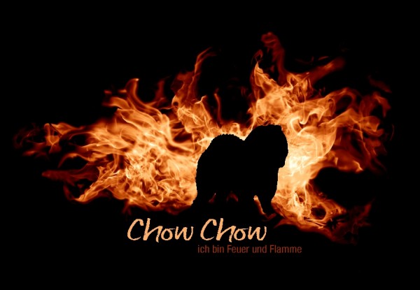 UTFlamme_ChowChowMo