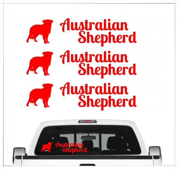 A_3er_AustralShepheR