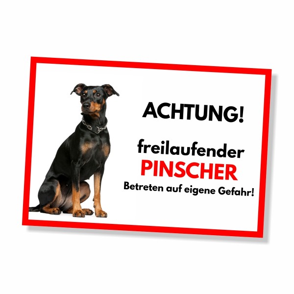 SchildFrei_Pinscher