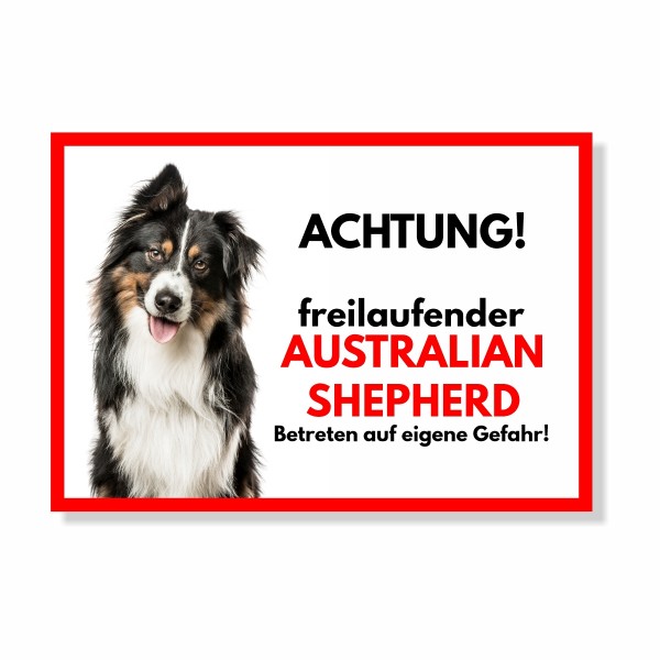 SchildFrei_Aussie