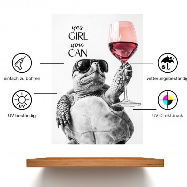 SchildYouCan_Schildkroete2