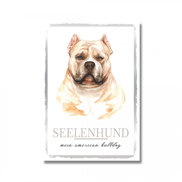 SeeleW_AmerBulldog1