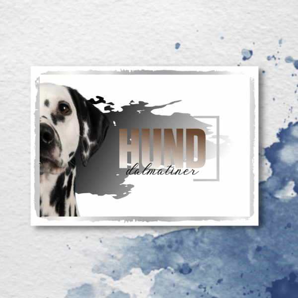 SeeleD_Dalmatiner3