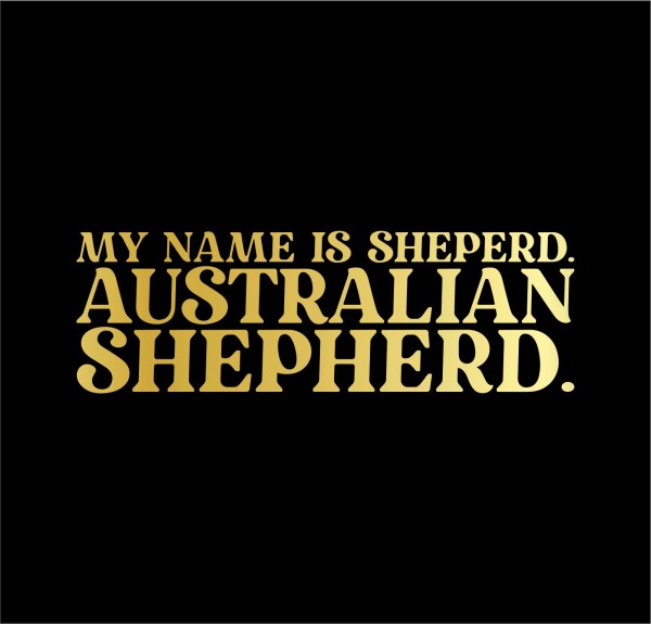 DN_AustralianShepherdG