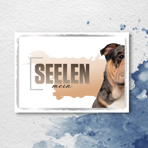 SeeleD_OldEngBulldog2_2