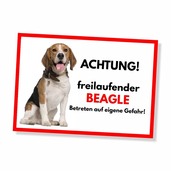SchildFrei_Beagle
