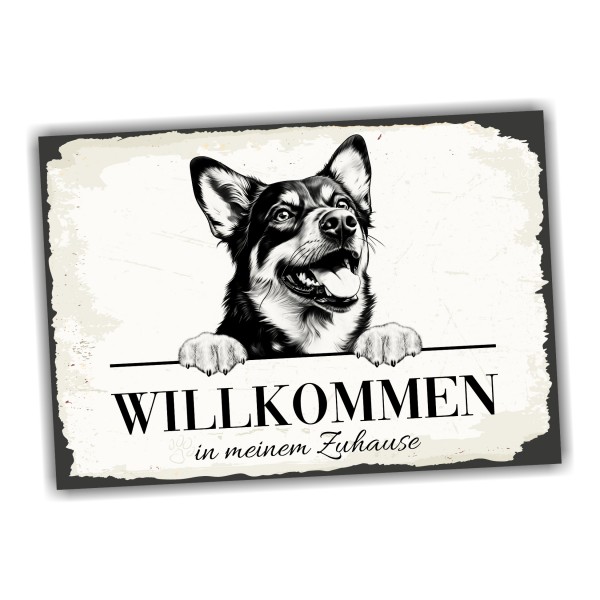 Hundeschild Willkommen Zuhause Lancashire Heeler Schild Achtung Spruch