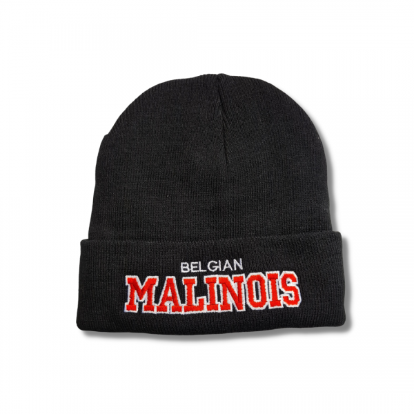 ExBeanie_BelgianMalinois