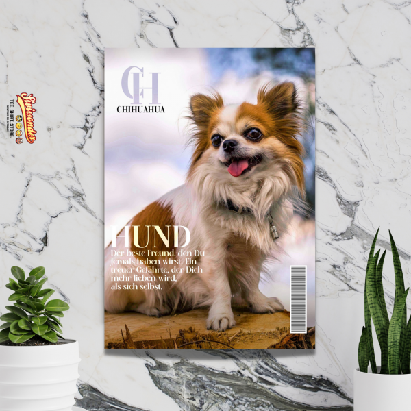 SchildMagazin_ChihuahuaLang2