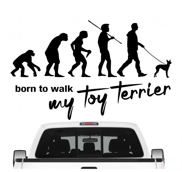 Toy Terrier Manchester English Evolution Born to Walk Hunde Aufkleber Sticker Autoaufkleber Wandtattoo Tattoo