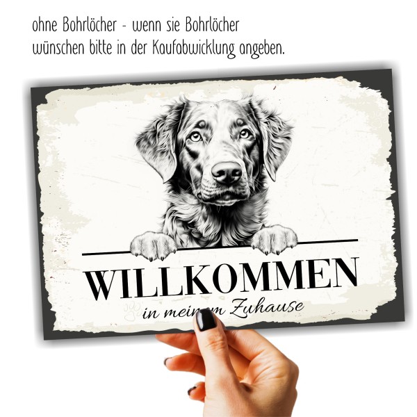 Hundeschild Willkommen Zuhause Chesapeake Bay RetrieverSchild Achtung