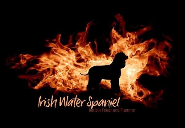 UTFlamme_IrishWaterSpaMo