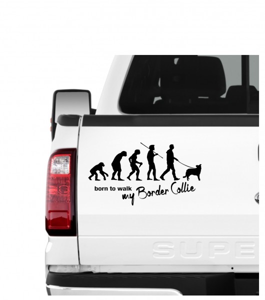 AEVO_BorderCollieBorder Collie Sheepdog Scotch Sheep Dog Evolution Born to Walk Hunde Aufkleber Sticker Autoaufkleber Wandtattoo Tattoo