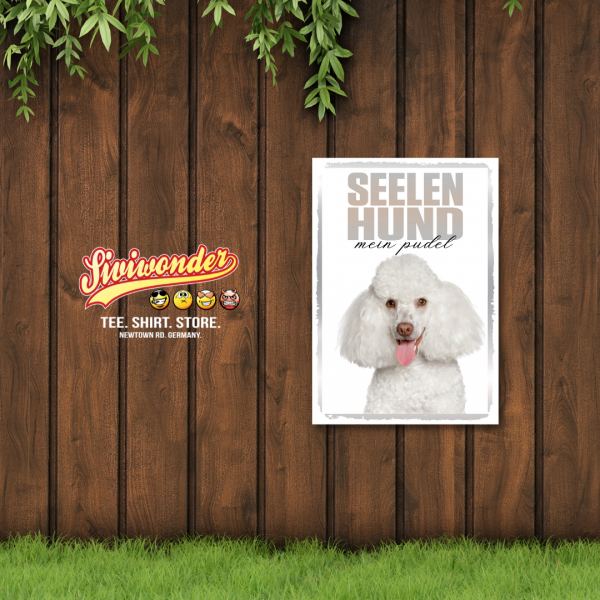SeeleR_PudelW2