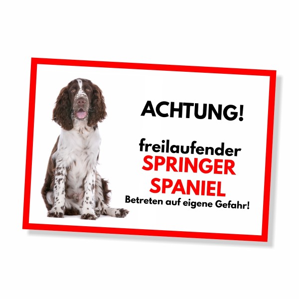 SchildFrei_SpringerSpaniel