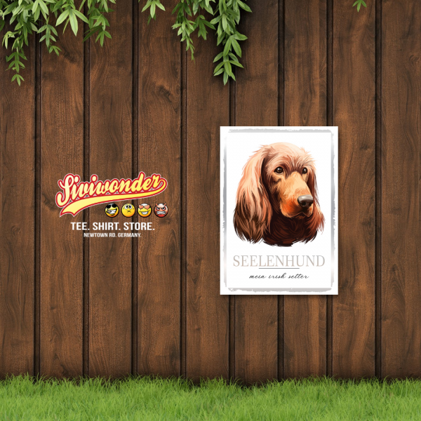 SeeleW_IrishSetter2