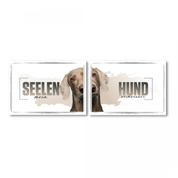 SeeleD_Weimaraner1