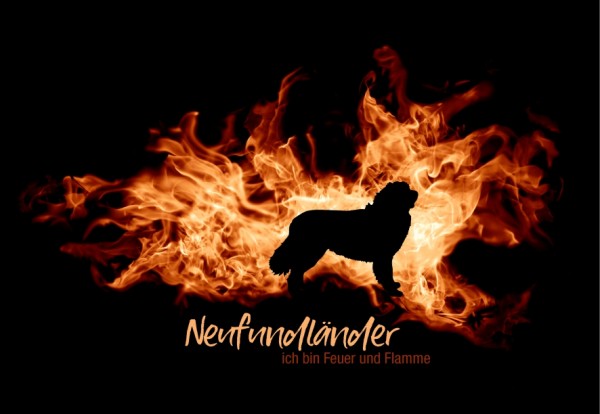 UTFlamme_NeufundlaenderMo