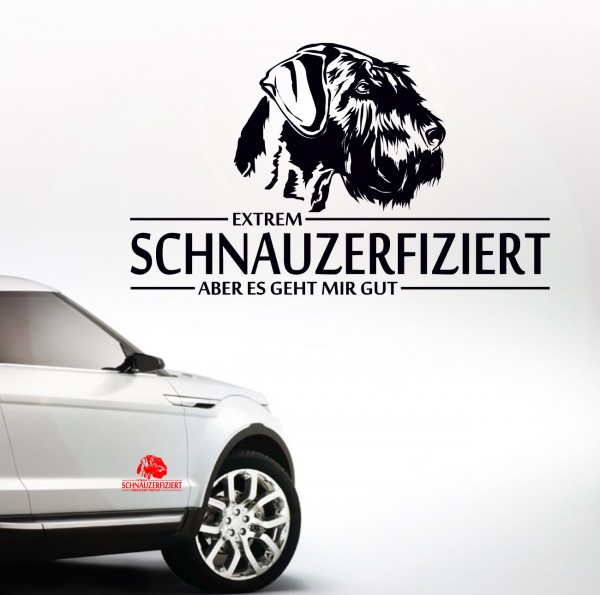 ASCHNAUZERFIZIERT_Index